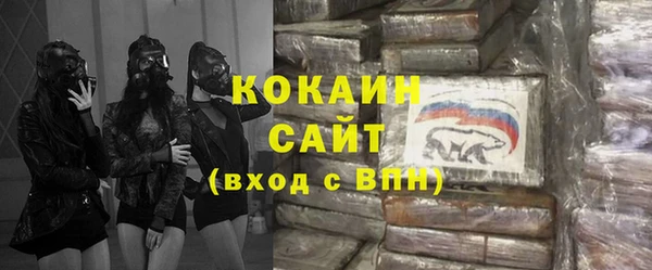 амф Алексин