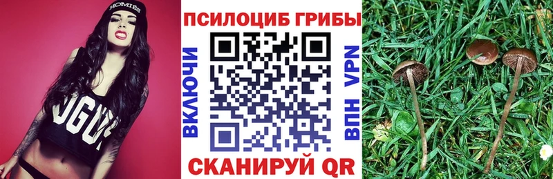 что такое   мега ТОР  Галлюциногенные грибы Magic Shrooms  darknet телеграм  Нововоронеж 