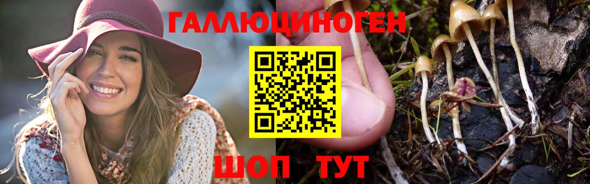 LSD-25  ЭКСТАЗИ  COCAIN  Вход с VPN  Нововоронеж  Конопля  A PVP СК кристаллы  Мефедрон  