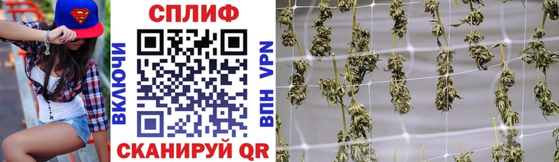Бошки Шишки THC 21%  ОМГ ОМГ как зайти  Нововоронеж 